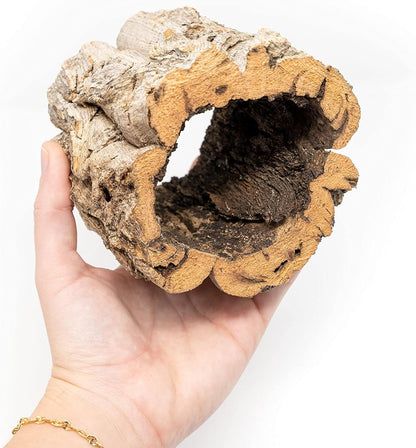 Air Plant Shop Cork Bark Planters with Assorted Air Plants- Wholesale and Bulk - Succulents - Live Tillandsia - Easy Care Indoor and Outdoor House Plants