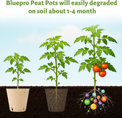 120 Packs 3.15 Inch Peat Pots, Biodegradable Pots for Seedlings with Drainage Holes, Herb Seed Starter