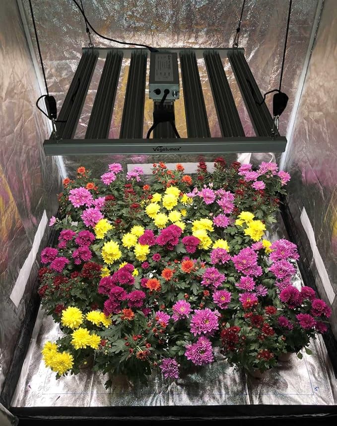 300Watt LED Grow Lamp UV IR Full Spectrum 4x4 5x5ft Coverage Grow Light Bar with 1092pcs Diodes 7 Bars Led Plant Growing Lamp for Vertical Farming Commercial Dimmable, Easy Installation