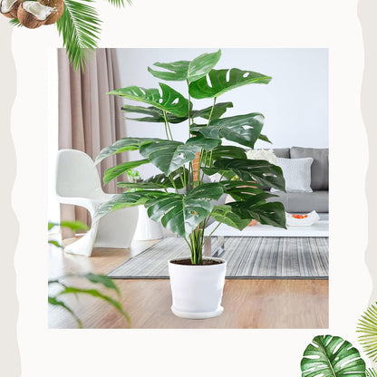 3 Pack Moss Pole, 35.4-Inch Moss Poles for Plants Monstera,Bendable Plant Support Stakes for Climbing Plants Indoor, Garden Trellis Plant Stick for Potted Plants, Pothos Philodendron