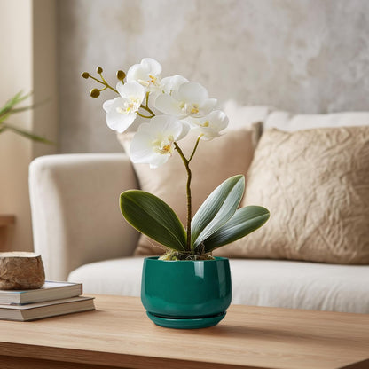 G EPGardening 4 inch Plant Pots - Small Ceramic Planter with Drainage Hole & Tray, Succulent Pots Indoor Outdoor, Round Modern Planter, Decorative Flower Pot, Desk Decor, Gifts for Plant Lover, Green
