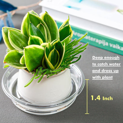 Plant Saucer 30 Pack Plant Trays for Pots 6 Inch Plastic Plant Saucers for Outdoors and Indoors Clear Drip Trays for Potted Plants Flower Pot Plates to Catch Water Plant Drainage Dishes No Holes