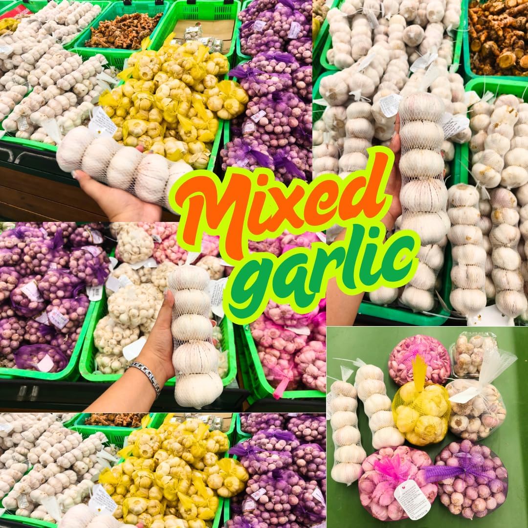 1 Pound Garlic for Planting in Fall Mix Random Softneck Hardneck, 8-10 Assorted Garlic Bulbs for Planting, Fresh and High Yield Bulb Variety Pack, Hardy and Fast Growing