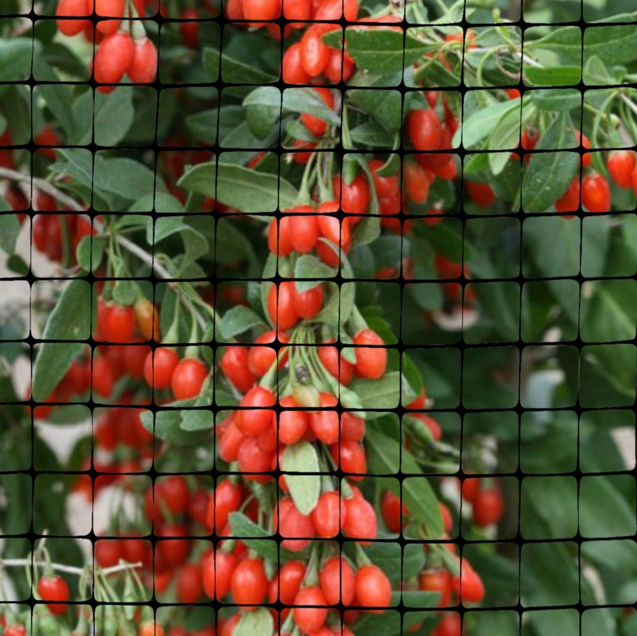 OldMacDonald Deer and Animal Fence Barrier Netting (55gr/sq m.) 7.5' x 165' (2.3m x 50m) (mesh 19x19mm) - Folded for Shipping