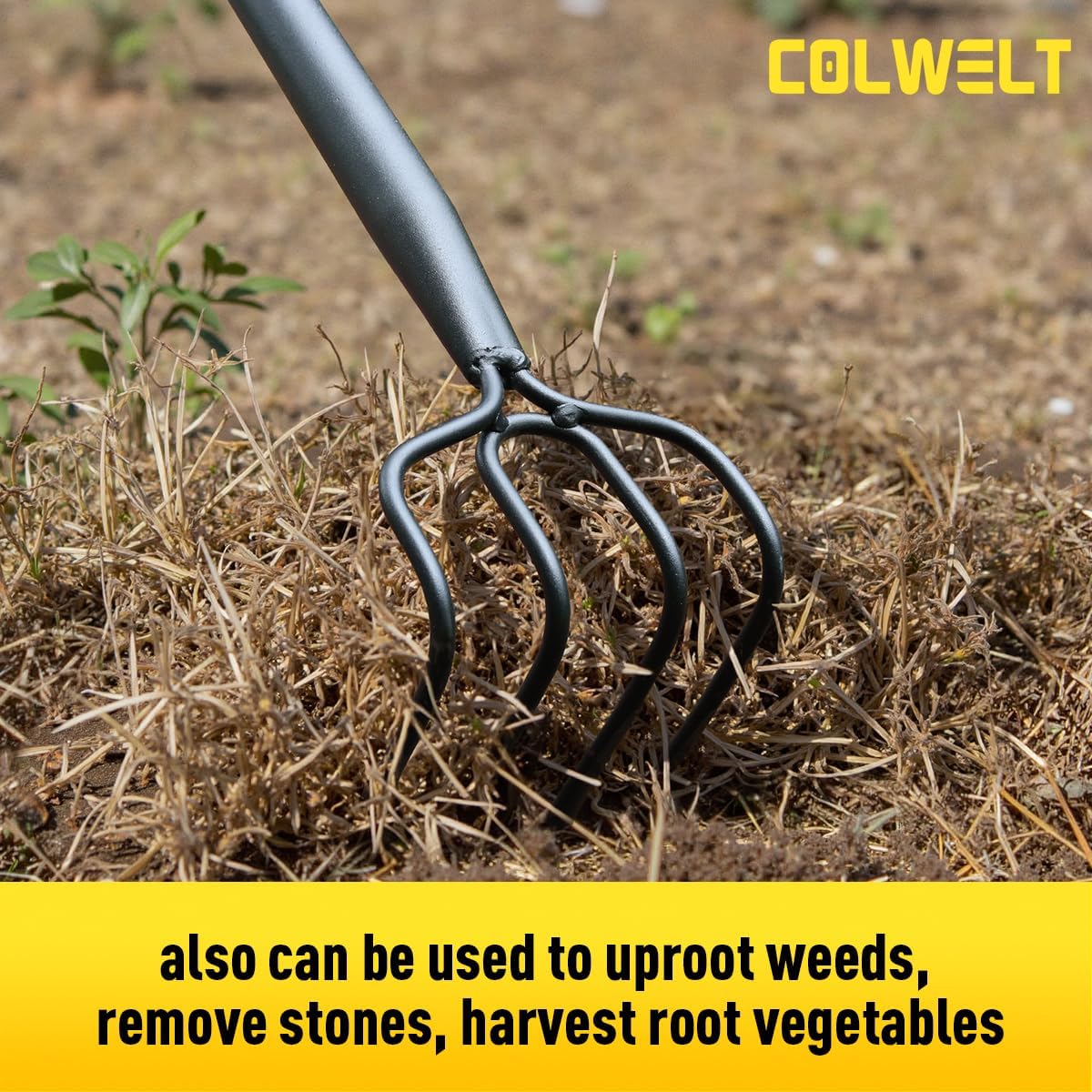 Colwelt 4 Tines Garden Cultivator Rake 59'', Hand Tiller Garden Tool with Sharp Forged Steel Head, Cultivators for Gardening with Long Handle, Garden Tiller for Digging Loosening Weeding