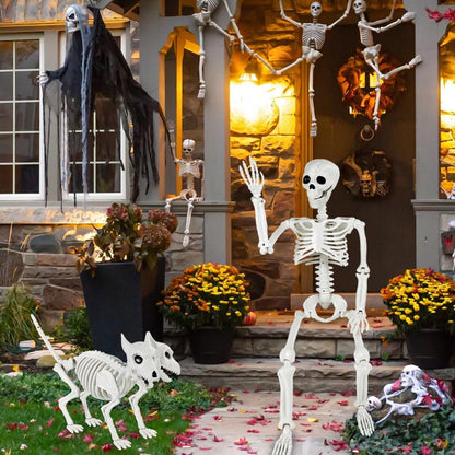 YUJUN 36'' Halloween Skeleton Decoration with 2Head Dog Skeleton, Full Body Posable Skeleton Realistic Plastic Bones Movable Joints for Halloween Party Yard Haunted House Props Indoor Outdoor Decor