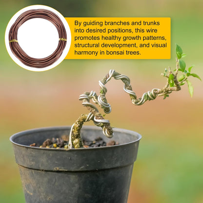 3mm Bonsai Training Wire, 16.4 Feet Total Anodized Aluminum Bonsai Wires for Bonsai Tree Shaping/Branches Fixing/Trunk Holding/DIY Crafting [Bronze]