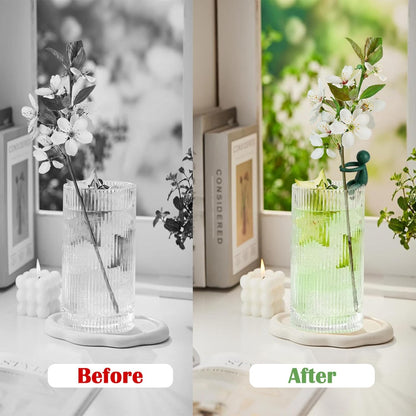6pcs Plant Propagation Buddy, Propagated Plant Holders,Plant Stem Support,Plant Support for Shoots,Cuttings,Sprouts of Plant Propagation Station & Indoor Garden,Gifts for Plant Lovers