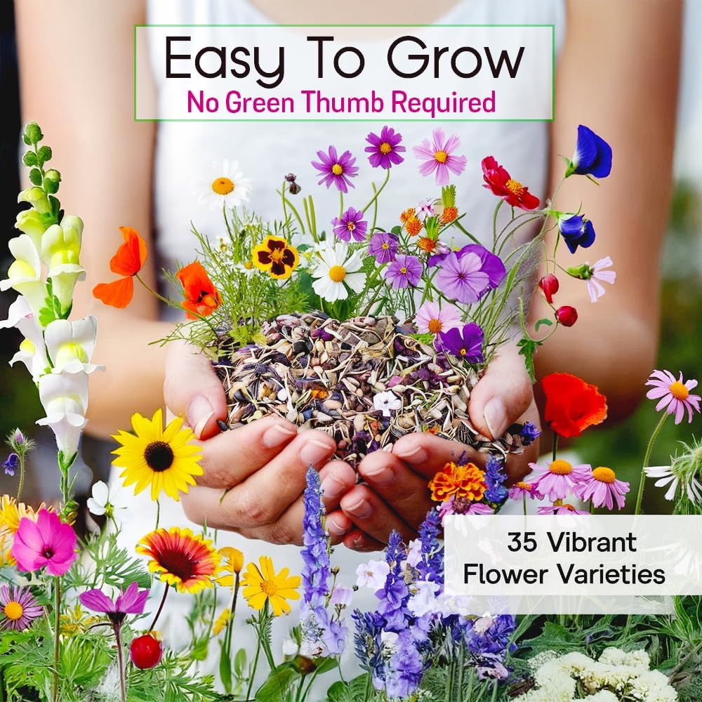 NatureZ Edge Wildflower Seeds Mix – 1/4 lb, 170,000 Seeds, 35 Variety Perennial & Annual Flower Seeds to Plant Outside, Bulk Wildflower Seeds, Wild Flower, Semillas de Flores