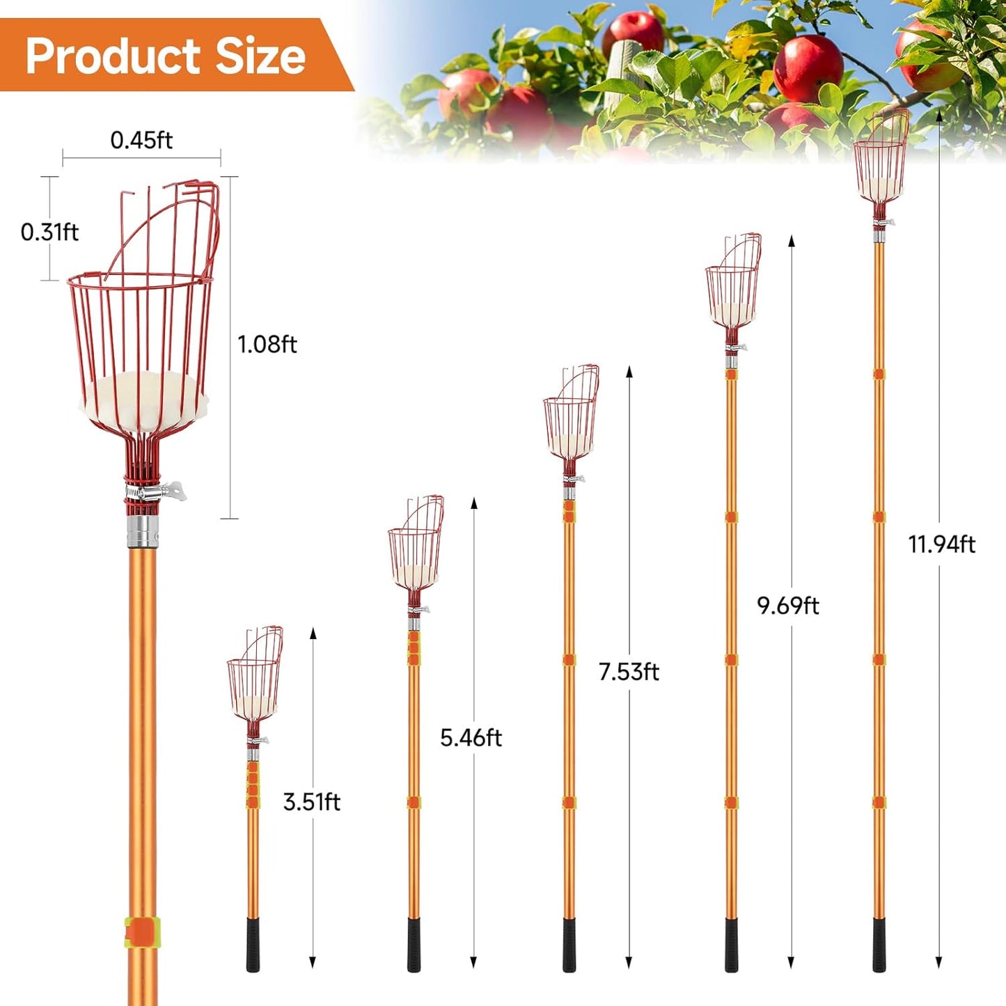 SANLIKE Fruit Picker Tool 12FT Telescoping Fruit Picker Pole, Easy to Assemble Twist-On Apple Basket, Lightweight Aluminum Fruit Picking Equipment for Getting Fruits Apple Orange Pear Mangoes