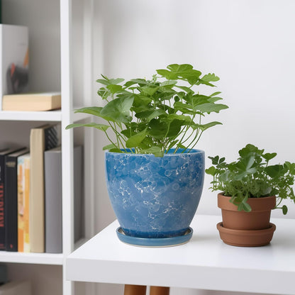 Ceramic Pots for Plants - 6 Inch Planter with Drainage Hole and Plant Tray, Decorative Succulent Pot, Round Flower Planter for Indoor, Garden Living Room Decor, Gifts for Plant Lovers, Blue