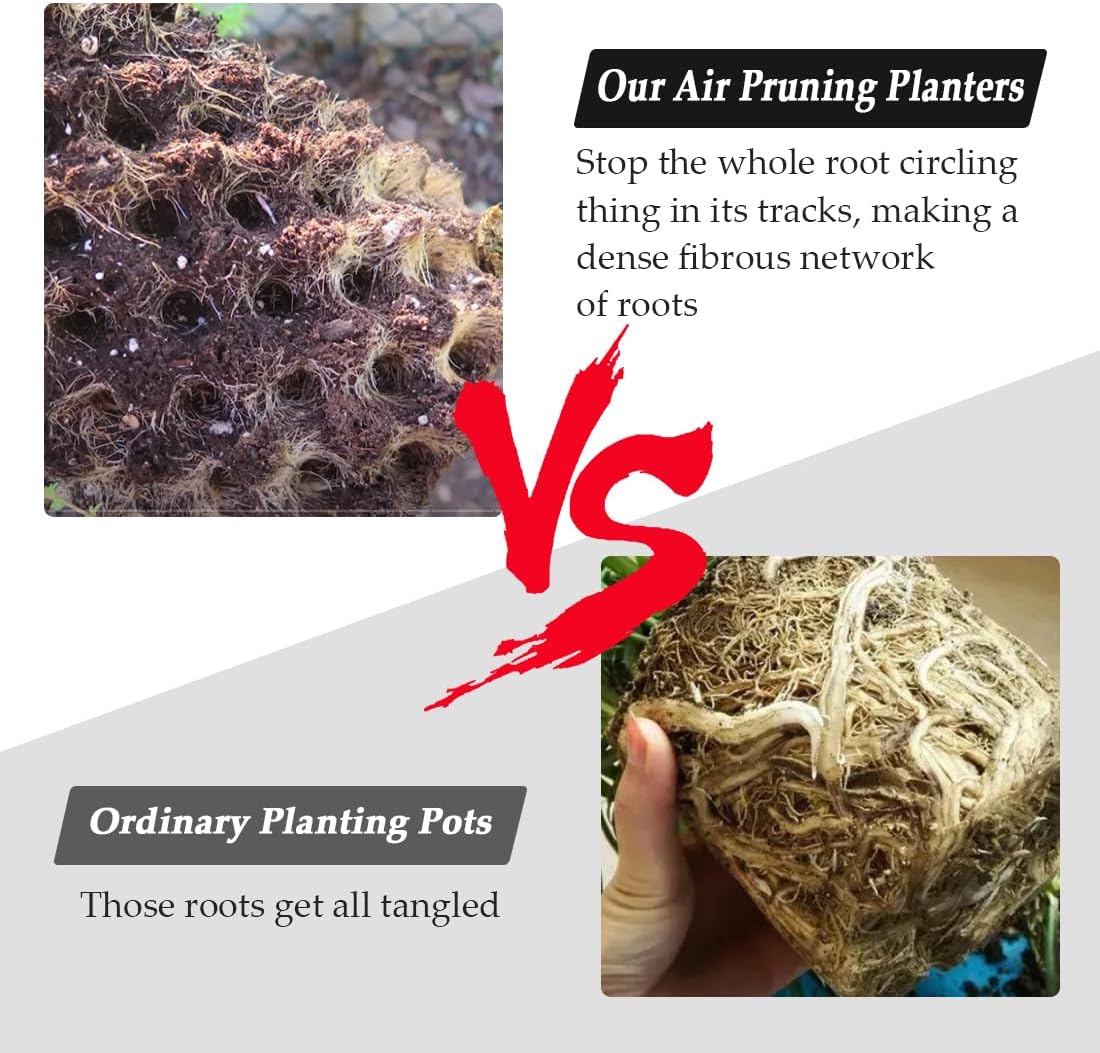 5 Gallon Air Pruning Containers, Roots Control Planter New Plastic Nursery Pots Fruit Vegetable Orchard Garden Self-Planting Pots, Size 12"x12", Black, (10P)