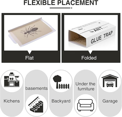 Qualirey Ant Traps Indoor, Upgraded Peanut Butter Scented, Larger 10pcs Ant Spider Cockroach Centipede and Crawling Insect Trap, Pet Safe Insect Traps for Home, Kitchen, Garage