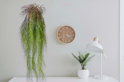 3 Fake Hanging Plants with Roots, 51 inch Faux Ivy Vines Hanging Greenery for Party Green Backdrop, Home Office Farmhouse Living Room Greenery Wall, Bathroom, Outdoor Porch Decoration