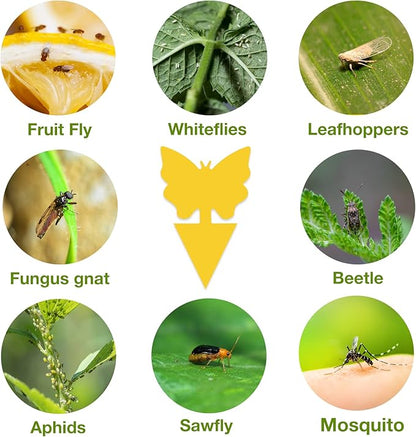 40 Pack Fungus Gnat Traps for House Indoor, Fungus Traps Fruit Fly Traps for Indoors Gnats Sticky Traps for Plants Yellow Sticky Traps for Gnats