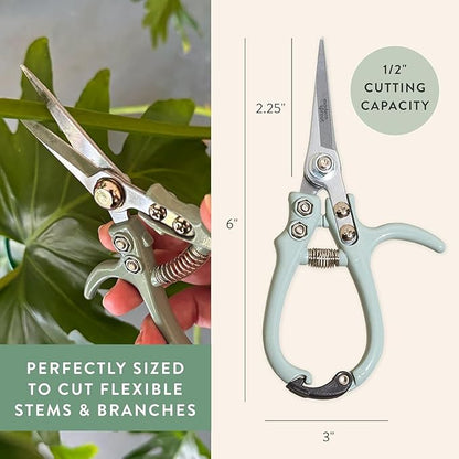 Modern Sprout Pruning Shears - Herb Snipping Scissors- Lightweight Gardening Tools W/Easy Lock - Flower Cutter Garden Shears - Carbon Steel Blade + Plastic-Free Reusable Holster (Multicolor, 4 Pcs)