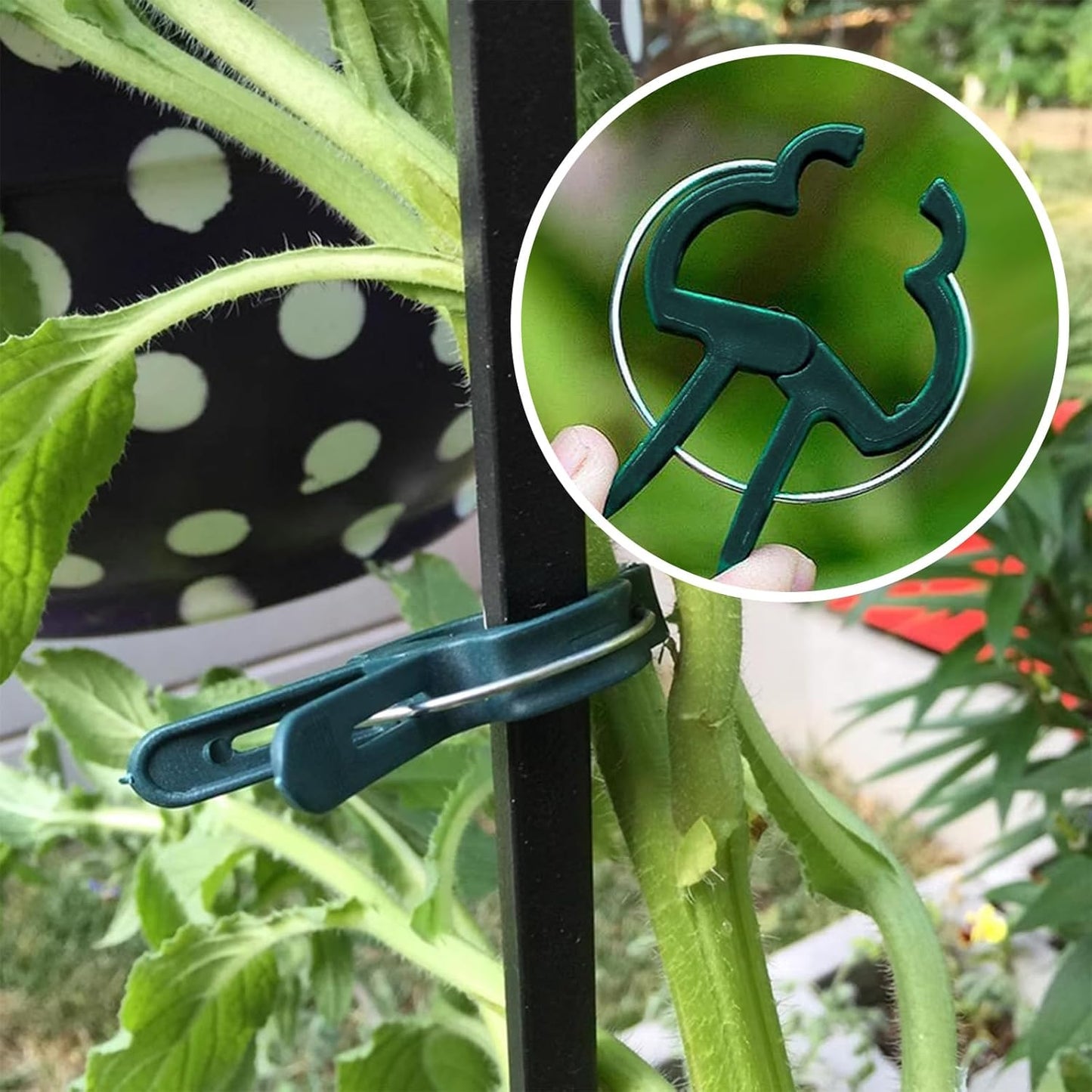Plant Clips for Climbing Plants, Tomato Clips and Garden Clips for Vine Support, Plant Support Clips for Tomatoes and Garden use (Green, 20 small20 Big)