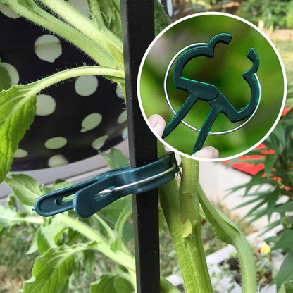 Plant Clips for Climbing Plants, Tomato Clips and Garden Clips for Vine Support, Plant Support Clips for Tomatoes and Garden use (Green, 20 small20 Big)