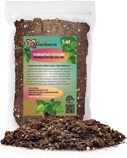 Premium Scindapsus Sterling Plant Soil Mix by Gardenera - Stimulate Growth and Elevate Variegation Beauty with Nourishing Formula - 5 Quart