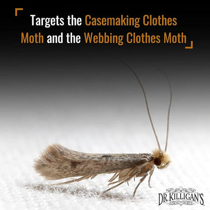 Dr. Killigan's Premium Double Potent Clothing Moth Traps with Pheromones Prime - Organic Trap with Lure for Clothes Closets & Carpet - Case Making & Web Spinning Moth Prevention (20 Pack, Black)