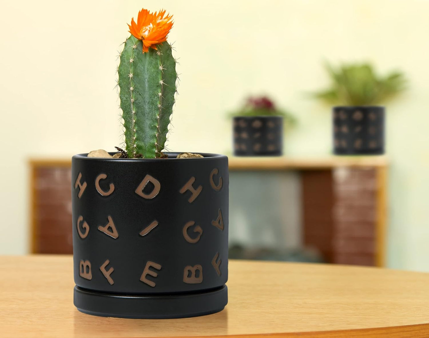 D'vine Dev Set of 2 Ceramic Planter Pots with Drainage Hole and Saucer, 4.5 Inch Plant Pots for Plants Indoor Houseplants, Black, 99-Z-G-2-V