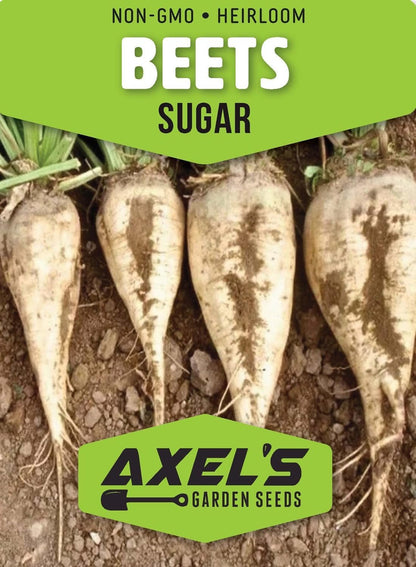 Beet Seeds for Planting - Plant & Grow Heirloom Beet Varieties Home Outdoor Vegetable Garden – Easy Grow Planting Packets, Beta vulgaris – 1 Packet of Each Variety