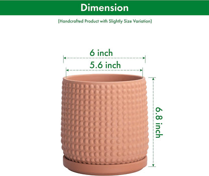 D'vine Dev 6 Inch Terracotta Beaded Planter Pot - Flower Pot with Drainage Hole and Saucer for Indoor Succulent Plants or Flowers, Terracotta, 27-C-X-7