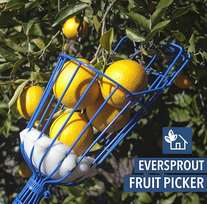 EVERSPROUT 1.5-3ft Durable Fruit Picker with 10+ Foot Reach – Telescoping Fruit Picker Pole, Lightweight Twist-On Fruit Picking Tool with Basket, Aluminium Extension Pole for Tree Fruit Harvesting