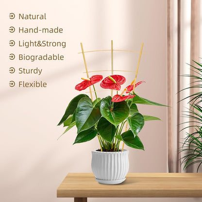Bamboo Garden Trellis - 24 Inches Tall, 3 Pack - Perfect for Climbing Plants, Vegetables, and Pots - Enhance Your Garden with Natural Bamboo ，2Ft Plant Trellis Indoor