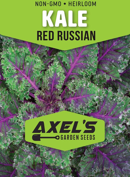 Kale Seeds for Planting - Plant & Grow Heirloom Kale Varieties Home Outdoor Garden – Easy Grow Planting Packet Instructions Included, Great Gardening Gift – 5 Packets of Each Variety