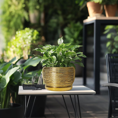 SQOWL Ceramic Flower Pot - 8 Inch Plant Pot Indoor Outdoor, Round Planter with Drainage Hole and Saucer, Decorative Modern Planter, Home Decor, Plant Lovers Gifts, Gold