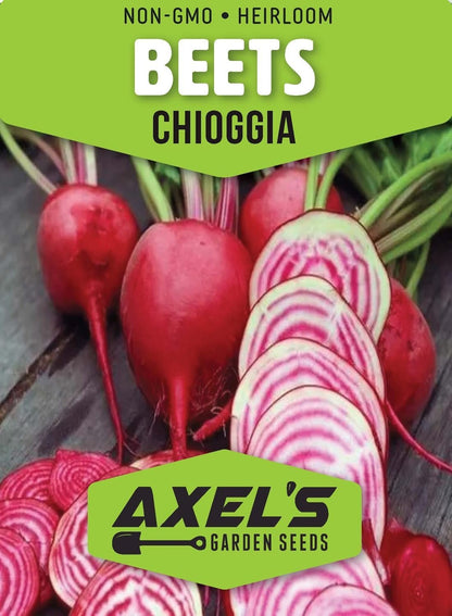 Chioggia Beet Seeds for Planting – Plant & Grow Heirloom Chioggia Beets in Home Outdoor Vegetable Garden, Beta vulgaris – 5 Packets