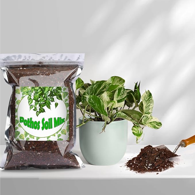 Organic Pothos Soil Mix 2qt, Indoor Plants Potting Mix for All Potted Pothos, Grow Healthy houseplants Indoors