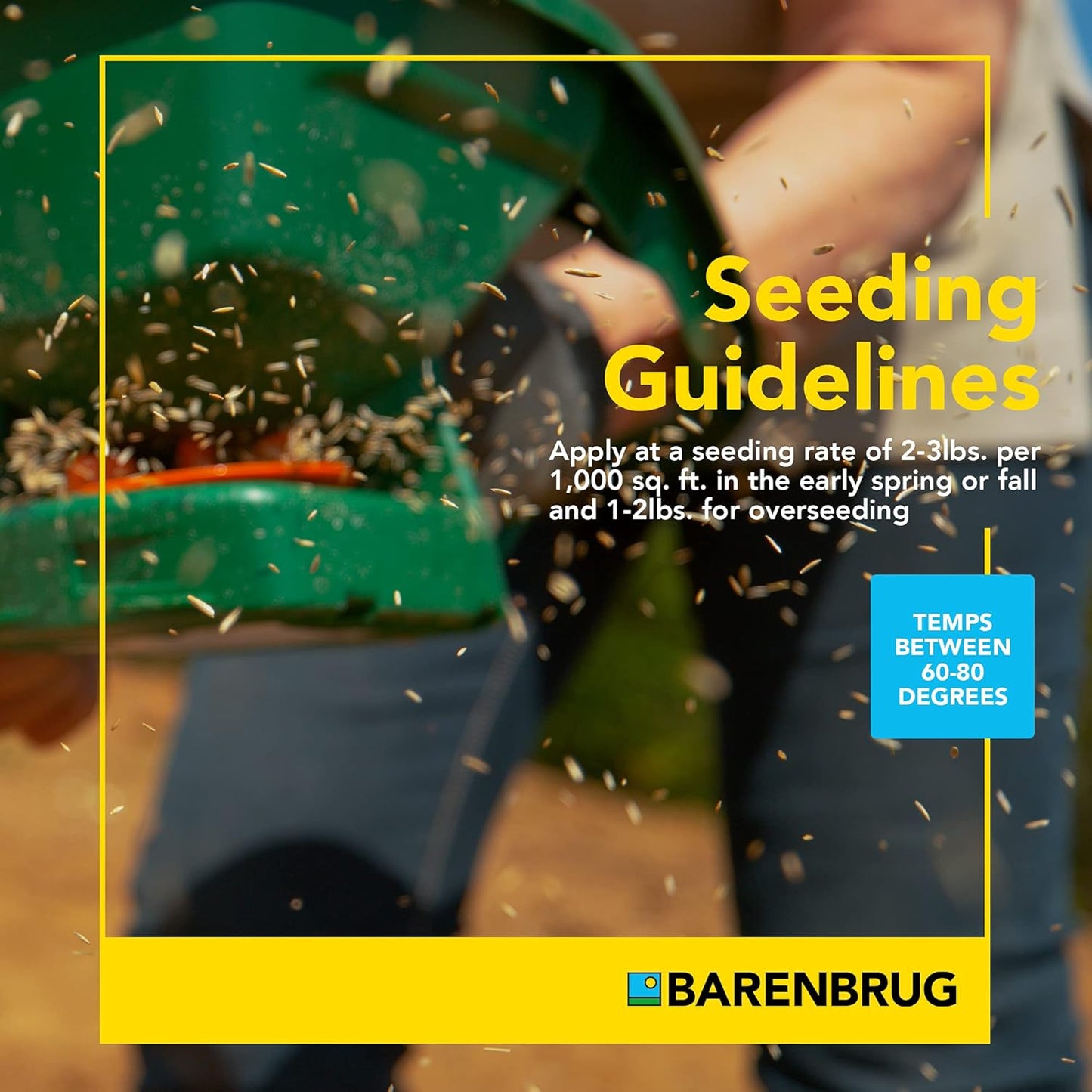 Barenbrug Turf Blue Pro Kentucky Bluegrass Lawn Seed with Yellow Jacket Seed Coating, All-Season Durable Grass Mix for Lawns, 10-lb. Bag