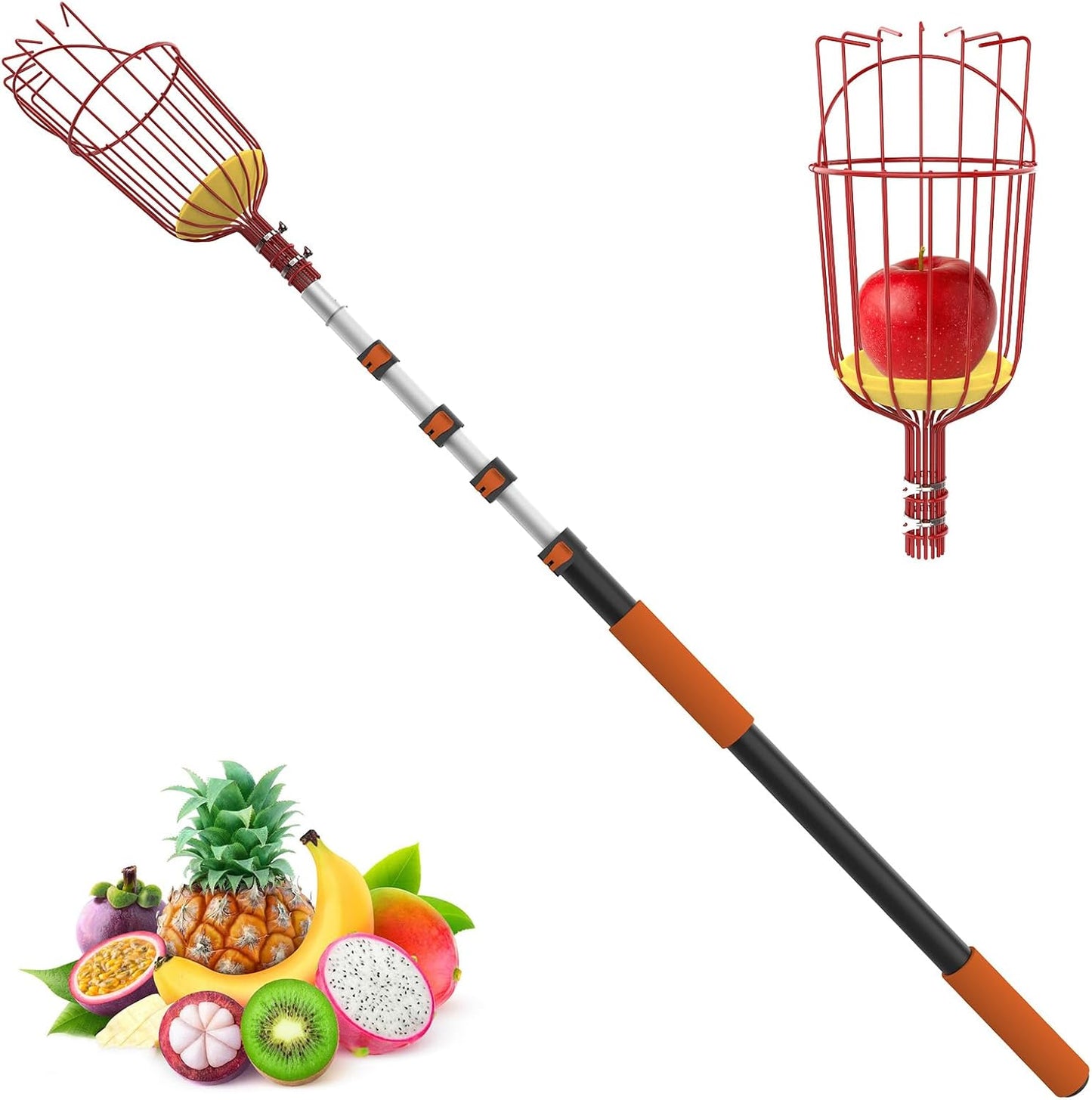 20FT Reach Fruit Picker Pole with Basket Telescoping, Apple Picker with 3-12FT Telescoping Pole for Apple Orange Lemon Mango Avocado Guava Fruit Picking