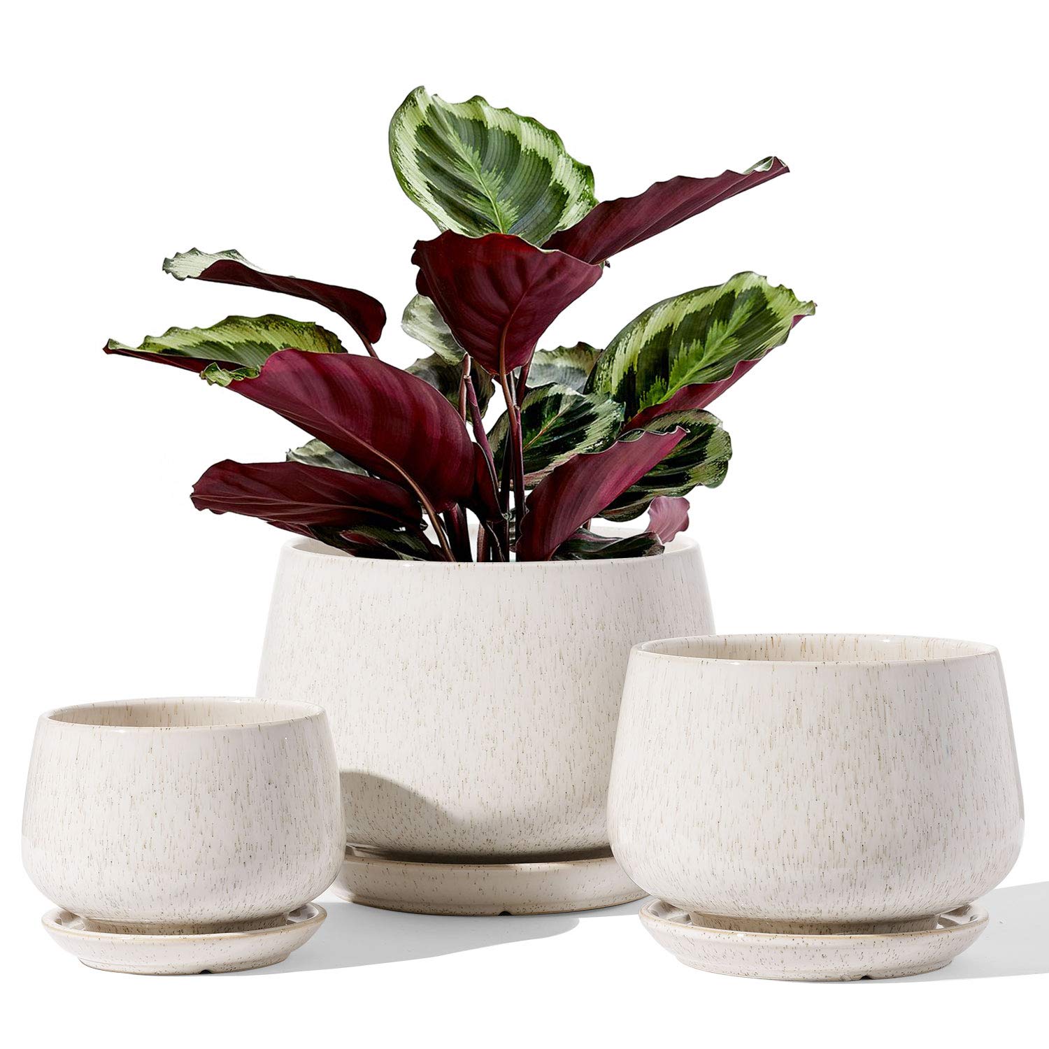 LE TAUCI Plant Pots, 4.1+5.1+6.5 inch, Set of 3, Ceramic Planters with Drainage Hole and Saucer