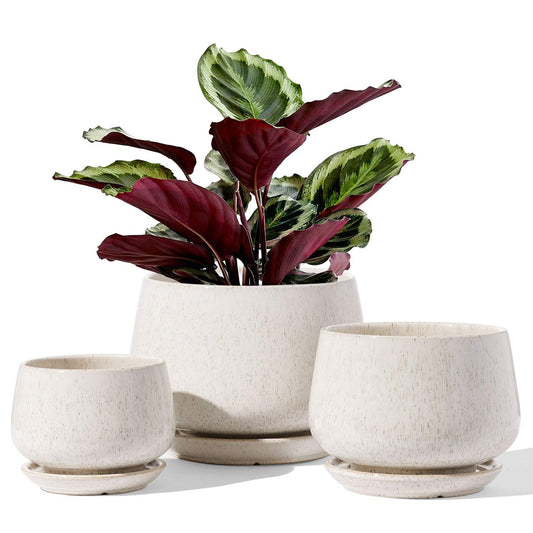 LE TAUCI Plant Pots, 4.1+5.1+6.5 inch, Set of 3, Ceramic Planters with Drainage Hole and Saucer