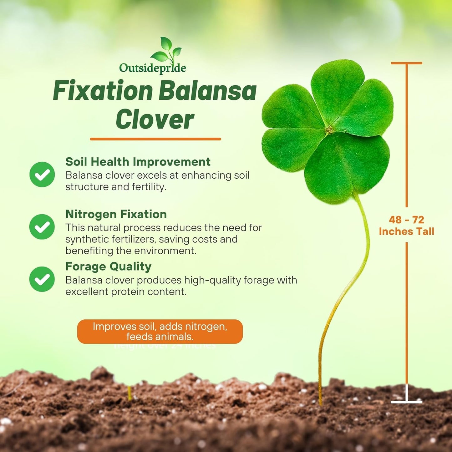 Outsidepride Fixation Balansa Clover Seeds for Lawn - 10 lbs. Coated & Inoculated, Cold Season, Drought Tolerant Cover Crop Seeds, Ideal for Erosion Control, Pasture, & Pollinator-Friendly Garden