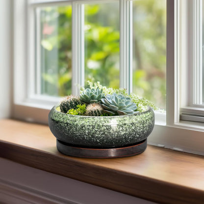 Bonsai Pots 8 Inch - Ceramic Succulent Pots with Drainage Hole and Saucer, Shallow Plant Pot for Indoor Outdoor, Bonsai Tree Pots, Round Planter Bowl, Home Decor, Gift for Plant Lover, Green