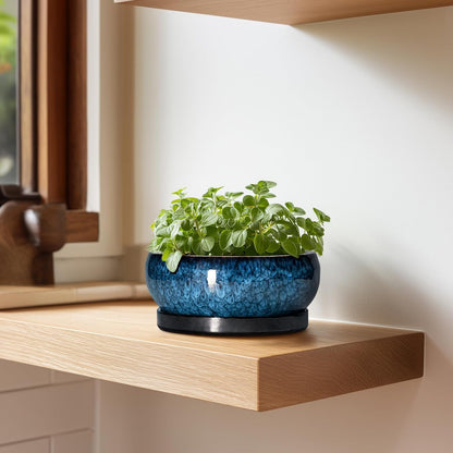 Succulent Pots - 6 Inch Ceramic Bonsai Pots with Drainage Hole and Saucer, Shallow Planter for Indoor Outdoor, Round Succulent Planter, Cactus Pot, Office Decor, Gifts for Plant Lovers, Blue