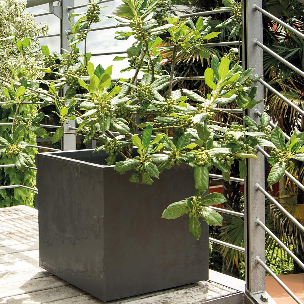 Deroma Millennium 19” Cube | Light & Durable Plastic | Indoor/Outdoor Square Pot for Patio | Water Reserve, Drain Plug Wheels | Trendy Planter for Plants, Flowers, Garden | Black