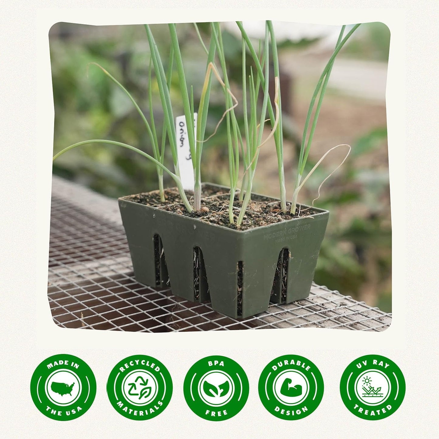 Epic Gardening Reusable Seed Starter Tray - 6 Cell/120 Seedling Starter Trays - Easy Watering, Indoor Greenhouse, Plant Starter, Gardener-Friendly for Seedlings | UV-Treated & BPA-Free - Sage Green