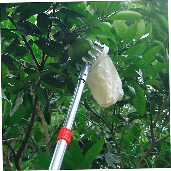 2pcs Fruit Picker Tool Gardening Picker for Persimmons and Jujubes Lightweight Fruit Harvesting Equipment Convenient and