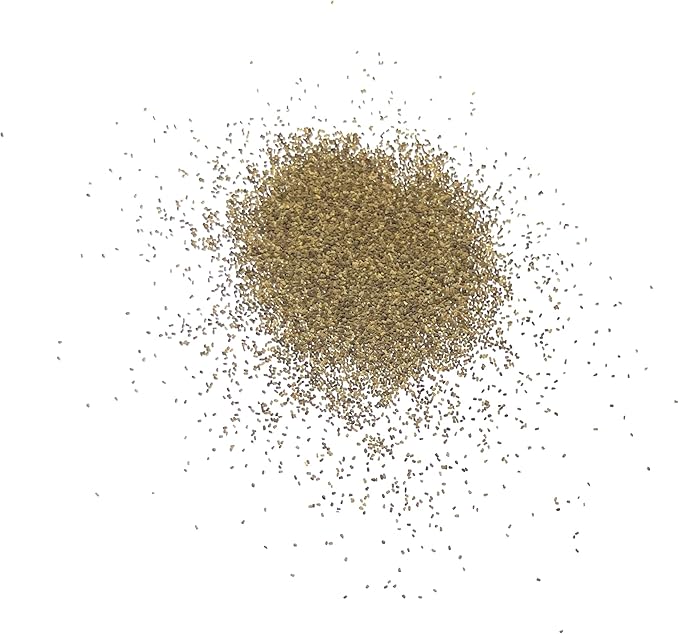 Seed Needs, Mixed Gloxiniaeflora Foxglove Seeds for Planting - Heirloom & Open Pollinated Biennial Flowers - Perfect for Butterfly Gardens & Insectaries (2 Packs)