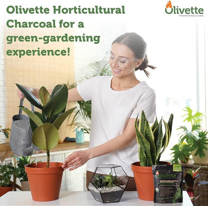 Olivette Horticultural Activated Charcoal for Plants Terrarium Horticulture Moisture Absorbers | Terrarium Supplies | USDA Organic Certified | Made from Recycled Olive Tree Byproducts | 3 Bags