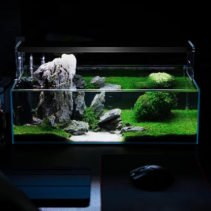 SubstrateSource Live Aquarium Stem Plants - Freshwater Aquatic Plant for Fish Tanks, Aquascaping - (Bacopa Australis, 1 Bunch)