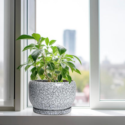 SQOWL Ceramic Planters - 10 Inch Ceramic Flower Pot with Drainage Hole and Saucer, Decorative Plant Pot Indoor, Round Large Planter Outdoor, Bathroom Decor, Gifts for Plant Lovers, Black and White