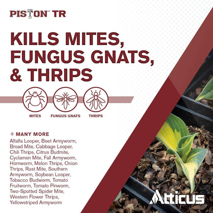 Atticus Piston TR Greenhouse Fogger (12 Pack) - Total Release Chlorfenapyr Insecticide/Miticide - Controls Mites, Thrips, Caterpillars, and Adult Fungus Gnats