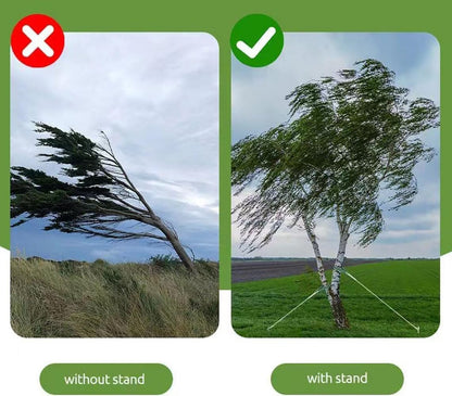 Heavy Duty Steel Tree Stake Kits Tree Stakes and Supports for Leaning Trees Tree Staking and Support Kits for Young Tree Against Bad Weather (2, 12 in)