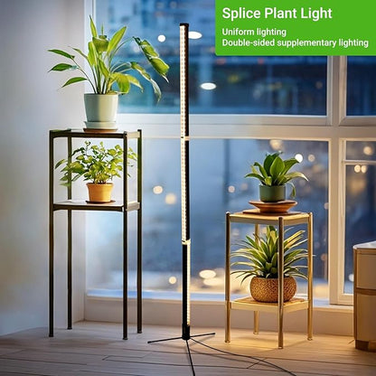 Grow Lights for Indoor Plants with Stand, Standing Grow Light with 3 Light Modes, LED Full Spectrum Vertical Grow Lights for Indoor Plants with Timer for Indoor Plants, Greenhouse (50 Inch)